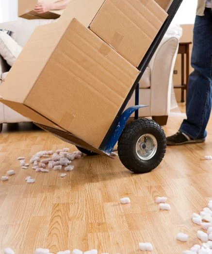 moving company in mesa border